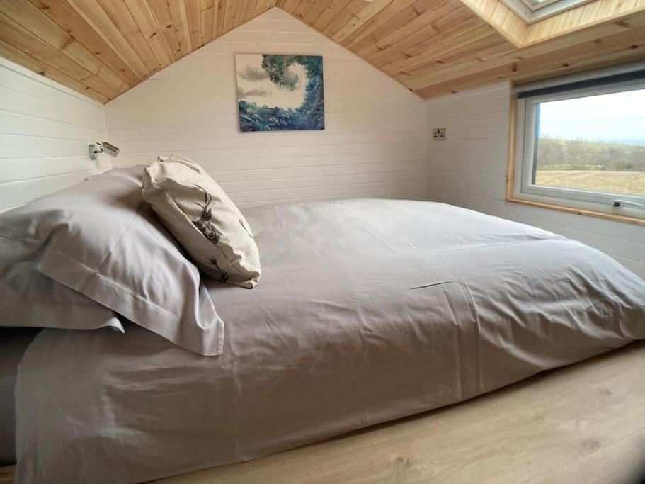 The Ashmere Tiny House Coldingham Ngoại thất bức ảnh